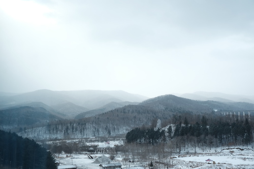 DSCF4146